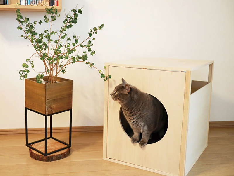 猫専用トイレカバー「ニャンQ」